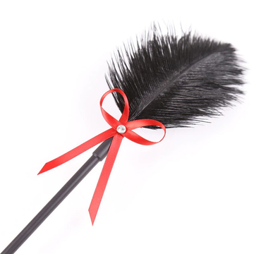 Black PU Leather BDSM Whip With Feather And Bow / Unisex Erotic Sex Toy For Games - EVE's SECRETS